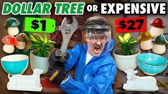 Episode 22 — How Durable Are Dollar Store Products?