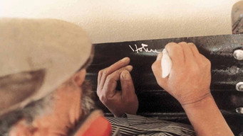 Hotere (2002)