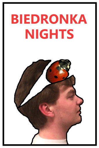 Biedronka Nights poster