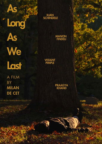 Cartell de As Long As We Last