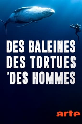 Ballenas, tortugas y hombres