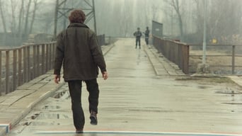 Перерваний крок лелеки (1991)