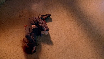 #44 Перевертень