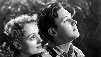 Наше містечко (1940)
