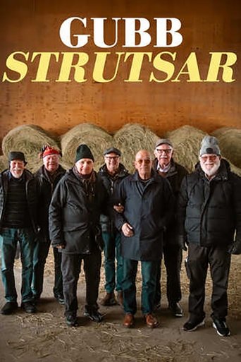 Poster for Gubbstrutsar