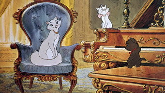 #29 Коти-аристократи