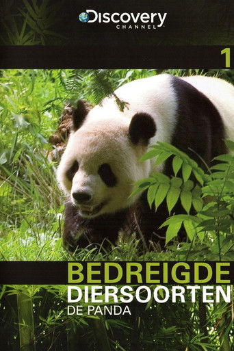 Bedreigde Diersoorten 01: De Panda (1970)