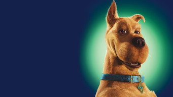 Scooby-Doo backdrop 4