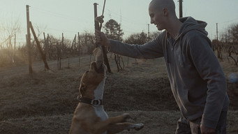 My Dog Killer (2013)