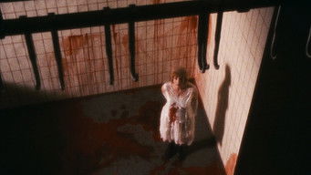 第14話：My Dream of the Dream of Franz Biberkopf by Alfred D&ouml;blin, An Epilogue