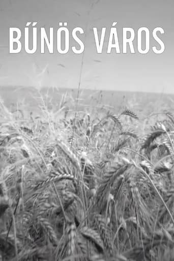 Poster of Bűnös Város