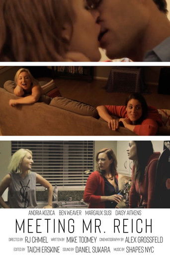 Poster de Meeting Mr. Reich