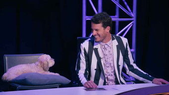 Aflevering 10 — The Masked CeWEBrity Singer