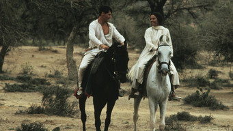 The Far Pavilions (1984)