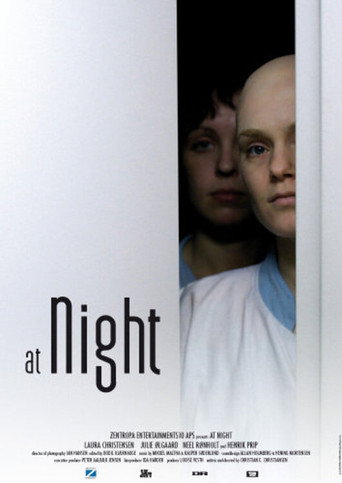 At Night movie poster