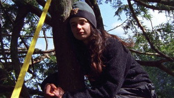 Butterfly (2000)