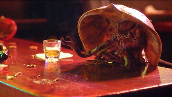 #9 Crabs!