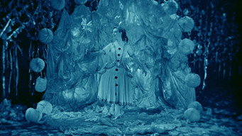 #4 Rabbit's Moon