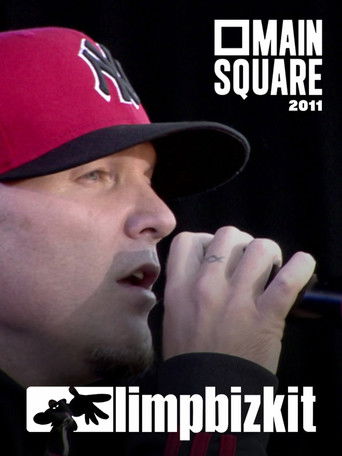 Limp Bizkit - Main Square 2011 poster