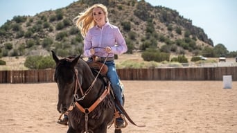 Galeria 3 - Andar. Montar. Rodeo.