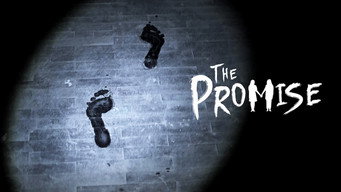 The Promise (2017)