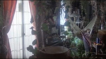 #17 The Mafu Cage