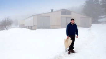 Galeria 2 - Solo las bestias