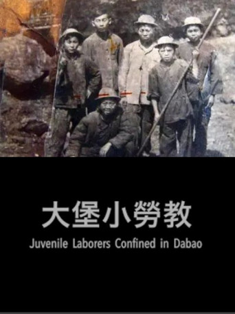 Juvenile Laborers Confined in Dabao poster