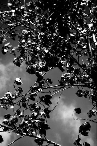 The Wind That Held Us Here poster