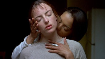 Galeria 5 - Cuando cae la noche