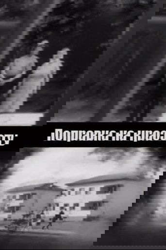 Поправка на красоту