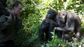 Gorilla School (2010)