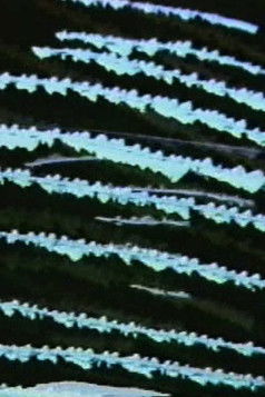 Scratches on My Brain poster