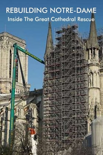 Rebuilding Notre-Dame: Inside the Great Cathedral Rescue en streaming 