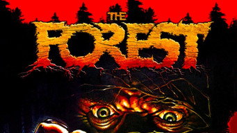 #17 The Forest
