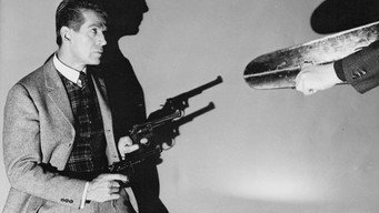 The Violin Case Murders (1965)