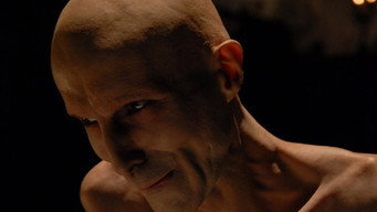 Shadow (2010)