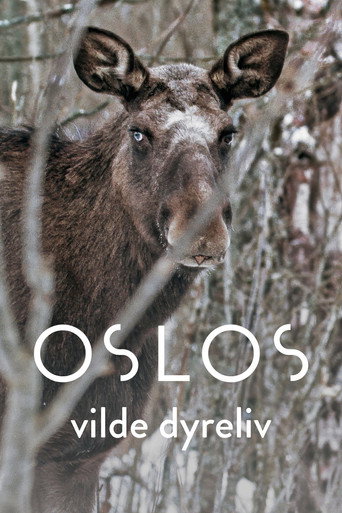 Oslo – The Wild Heart of Norway