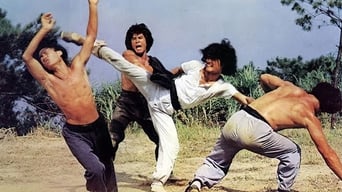 Incredible Kung Fu Mission (1979)