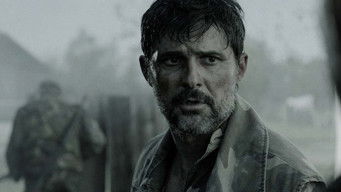 Galeria 1 - El Sexto Bus