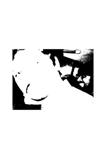 An Excursion to Transfiguration or An Odyssey to the Gates of Pure Hell poster