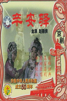 辛安驿 poster