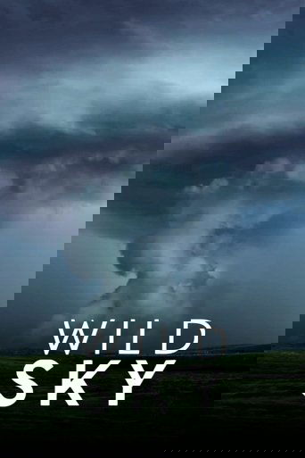 Wild Sky poster