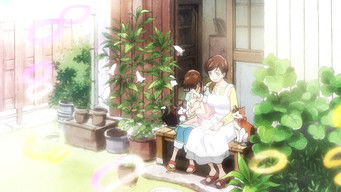 Episode 13 — Small Palm / In the Sun