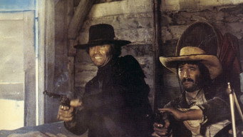 #5 Viva! Django