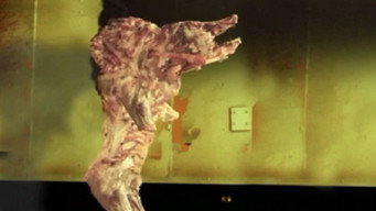 The Pig Walks (2002)