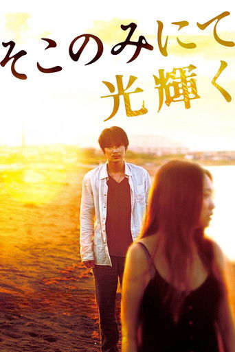 そこのみにて光輝く (2014)