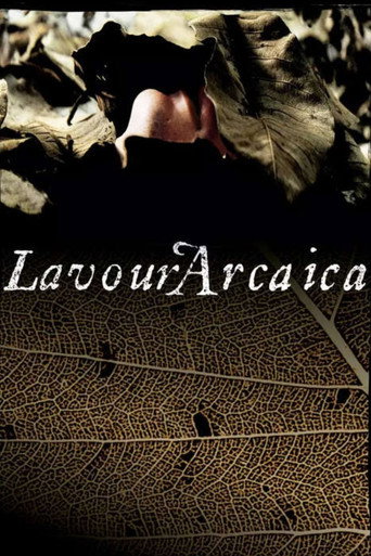Lavoura Arcaica — Pôsteres 14