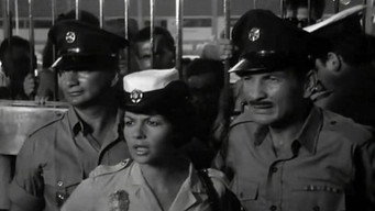 Ervinka (1967)