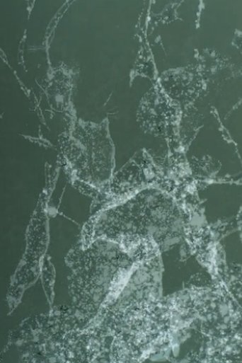 early summer, dust in the wind (2018)